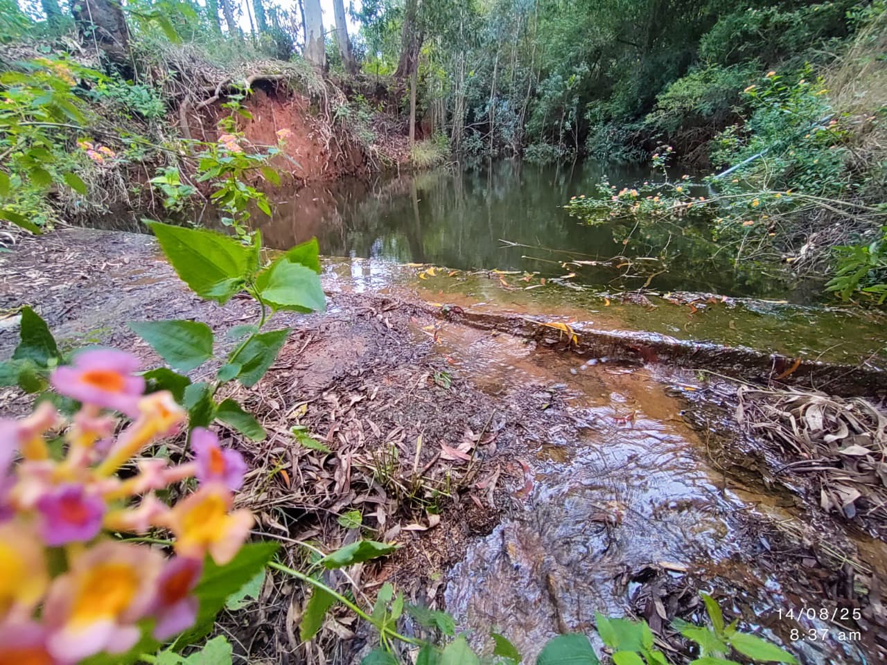 Cozy bonfire beside a small stream